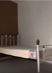 Sembawang Hills Estate (D20), Terrace #595339691